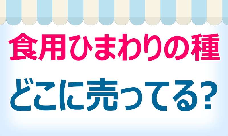 食用.ひまわりの種.どこで売ってる.買える